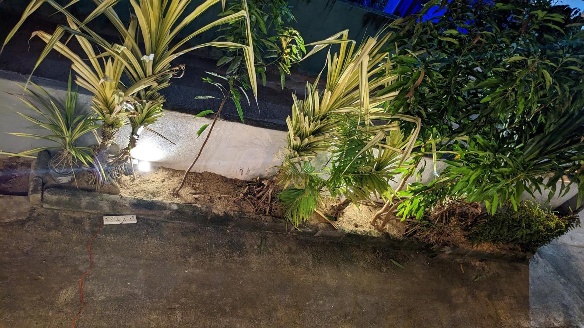 Hotel Hiriketiya Hideaway Dickwella Zewnętrze zdjęcie